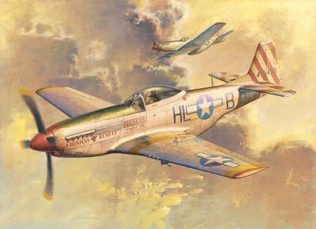1/32 P-51D Mustang