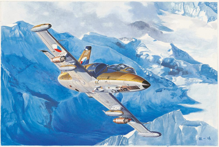 1/48 L-39ZA Albatros