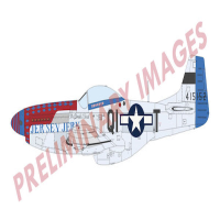 1/72 P-51D Mustang Aces of Eight Dual Combo