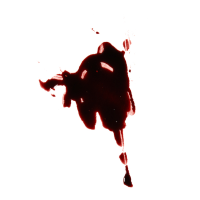 Blood Effect 17ml