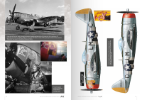 THE 56TH FIGHTER GROUP IN WORLD WAR II: 18TH APRIL 1944 TO V-E DAY AND BEYOND - English
