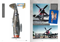 THE 56TH FIGHTER GROUP IN WORLD WAR II: 18TH APRIL 1944 TO V-E DAY AND BEYOND - English