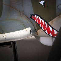 1/24 Supermarine Spitfire Mk. VIII