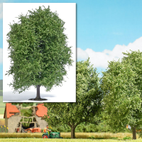 H0 Buche 125mm, Sommer