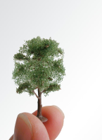 H0/TT/N 1 Steineiche ca. 10cm