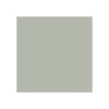 Mr. Color  (10 ml) Gray Green