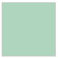 H41 Blassgr&#252;n    Pale green