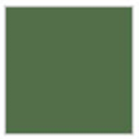 H312 FS34227 green seidenm