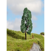 Eiche 10cm hoch
