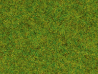 0 Gras Fr&#252;hlingswiese 2,5mm 120g Dose