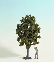 0,G Obstbaum 30 cm
