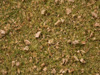0,H0 Grasmischung Almwiese 50g Beutel