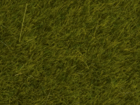 0,H0,N Wildgras Wiese 6 mm 50g Beutel