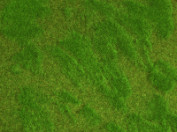 0 Natur+ Heide 25 x 25 cm