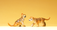 1:25 2 junge Tiger
