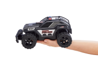 RC Highway Police