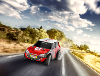 Rallye Car Free Runner (40MHz)