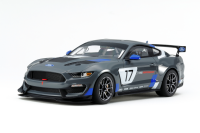 1/24 1/24 Ford Mustang GT4