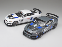 1/24 1/24 Ford Mustang GT4