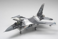 1/48 F-16C/N Aggressor/Adversary