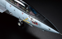 1/48  Grumman  F-14D Tomcat